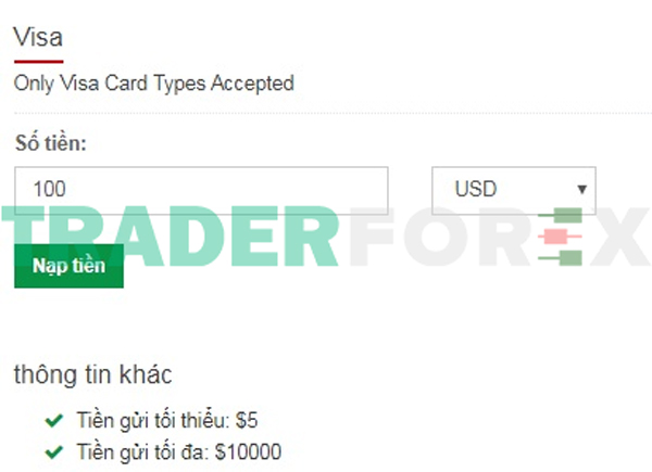 huong-dan-mo-tai-khoan-hotforex-4 Nạp tiền bằng thẻ Visa