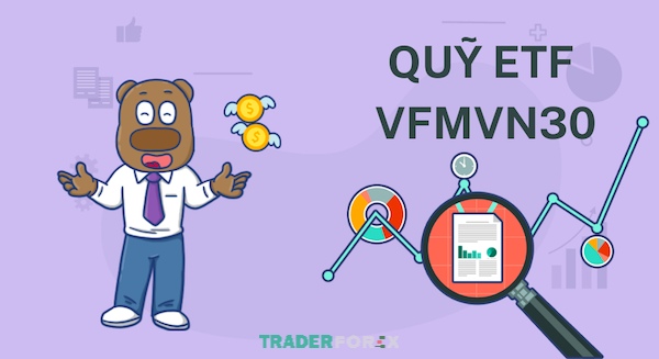 Bạn có thể tham khảo quỹ ETF DCVFMVN30, một quỹ Index Fund ở Việt Nam hoạt động tốt