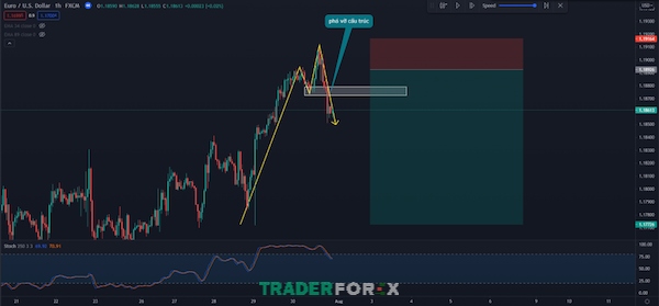 Stochastic cung cấp nhiều tín hiệu hữu ích về xu hướng thị trường