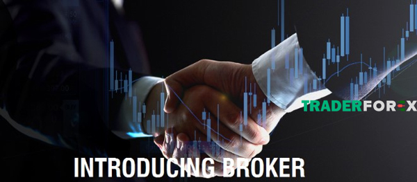 introducing-broker-la-gi-2 Thu nhập của Introducing Broker