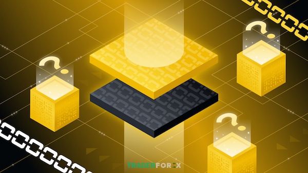 Giải pháp layer 2 có những gì?