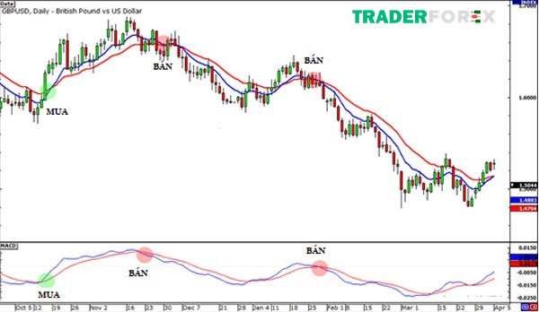 leading-indicator-la-gi-8 Lagging indicators cho tín hiệu đúng