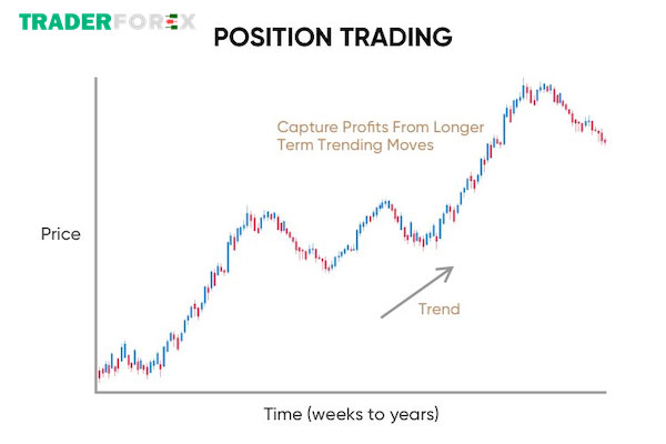Cùng tìm hiểu Position là gì?