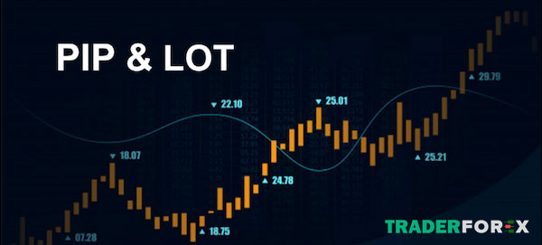 lot-trong-forex Mối quan hệ của Pip và Lot là gì?