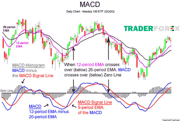 macd-la-gi-15 Sử dụng MACD trong giao dịch Forex
