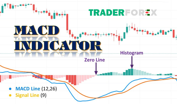 macd-la-gi-16 Tìm hiểu về MACD Indicator