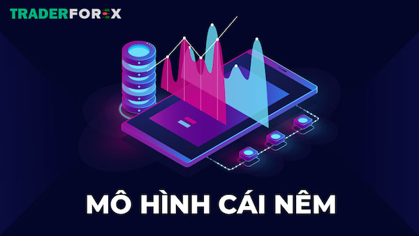 Các lưu ý khi giao dịch với cái nêm