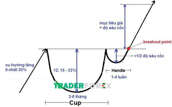 Quá trình hình thành mô hình cốc tay cầm