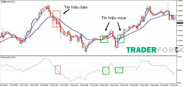 Chiến lược giao dịch với Momentum và xu hướng đảo chiều