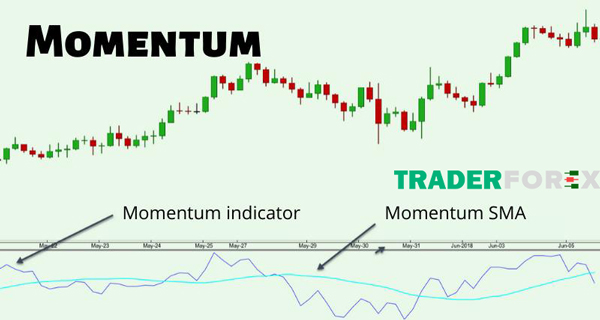 Ứng dụng của Momentum Indicator