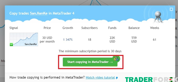 mql5-la-gi-9 Kiểm tra thật kĩ những thông tin hiển thị trước khi sao chép