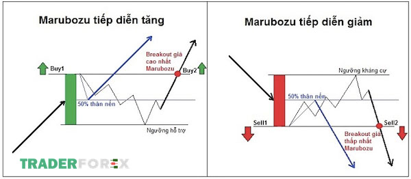 nen-marubozu-1 Nến Marubozu hình thành các mức hỗ trợ và kháng cự