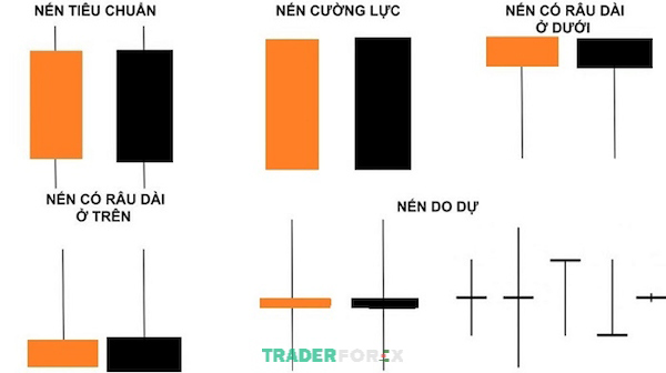 Các mẫu nến đơn phổ biến và đặc điểm cơ bản