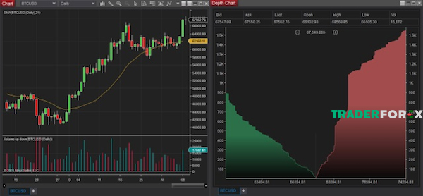 ninjatrader-8 Depth Of Market (DOM) trong Ninjatrader là gì?