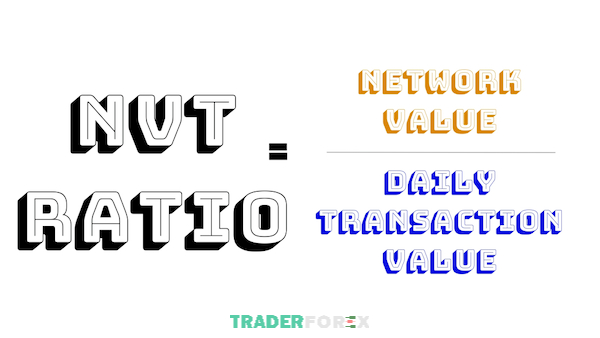 Công thức tính đơn giản của NVT