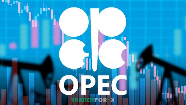 opec-la-gi-2 Hướng phát triển của tổ chức OPEC