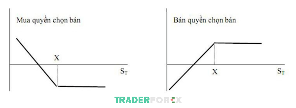 option-contract-la-gi-1 Nếu người mua quyền chọn bán thực hiện quyền, cả hai bên đều sẽ có kết quả như thế nào?