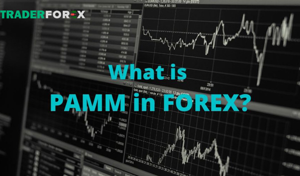 Tìm hiểu quỹ PAMM là gì trong thị trường Forex