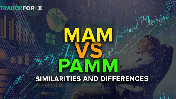 Phân biệt PAMM vs MAM để có cái nhìn toàn diện hơn