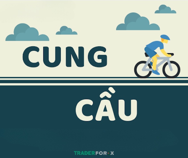 Tìm hiểu về Cung và Cầu