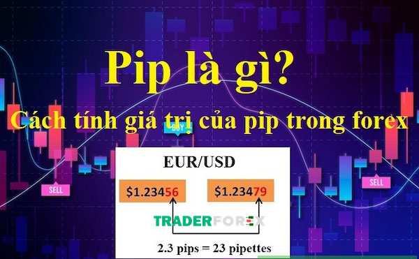 pip-la-gi-5 Pip là gì và các tính như thế nào?