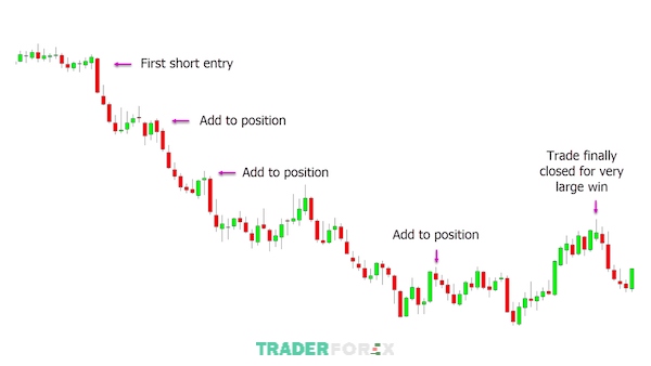 position-trading-1 Trader phải có những khả năng để giao dịch với Position trading hiệu quả