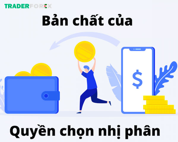 quyen-chon-nhi-phan-6 Tìm hiểu bản chất vấn đề là bước quan trọng khi bắt đầu một lĩnh vực