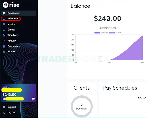 rise-la-gi-26 Hình ảnh thể hiện trang web khi lựa cho thẻ “Withdraw"