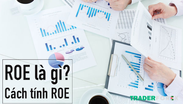 roe-la-gi-11 Định nghĩa về ROE