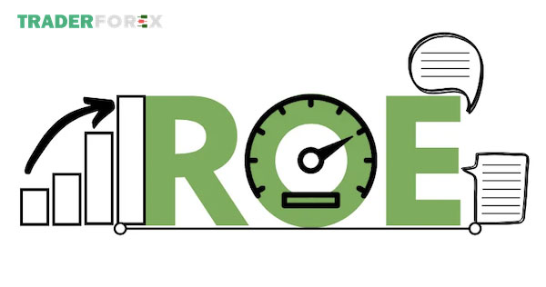 roe-la-gi-9 Cần chú ý những gì khi áp dụng chỉ số ROE?