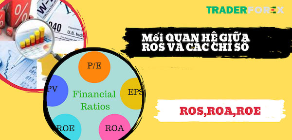 Tìm hiểu về mối quan hệ giữa ROS, ROA, ROE