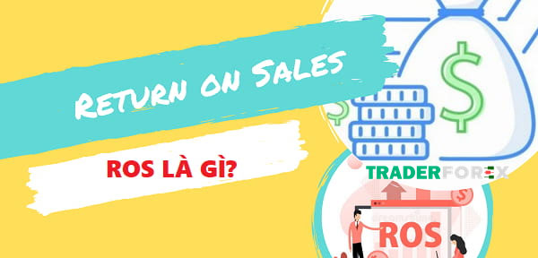 Đánh giá chỉ số ROS