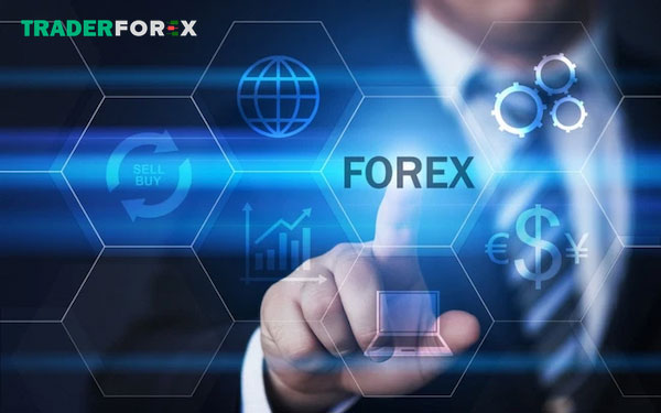 san-forex-co-spread-thap-nhat-9 Có hồ sơ pháp lý chi tiết rõ ràng