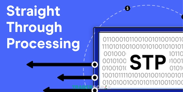 san-stp-5 Có nên tham gia vào một sàn giao dịch STP hay không?