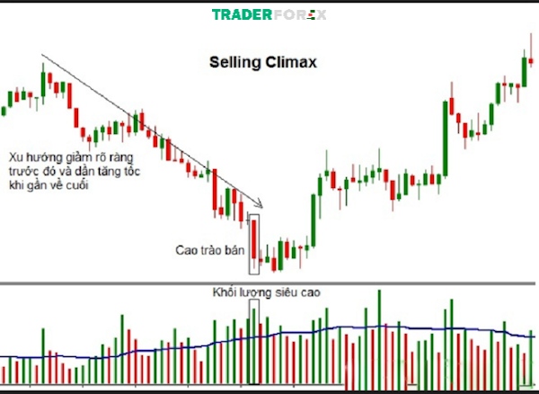 selling-climax-la-gi-1 Hướng dẫn các Traders thực hiện giao dịch với Selling Climax cùng với phương pháp VSA