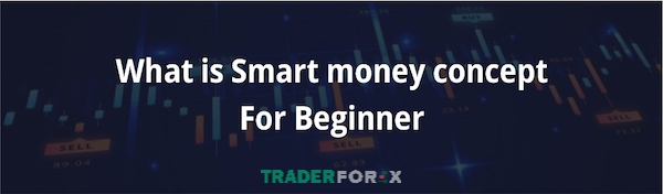 smc-trong-forex-la-gi-11 Tìm hiểu SMC trong Forex là gì?