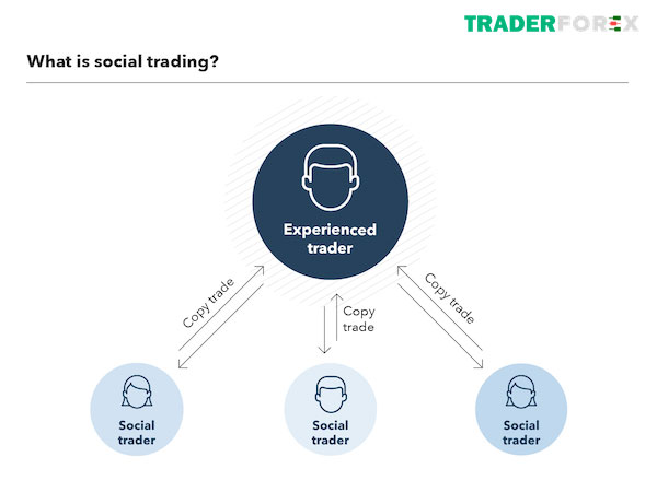 Các sàn Social Trading chất lượng nhất