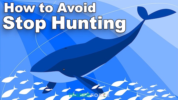 Các dấu hiệu cho thấy bạn đang bị Stop Hunt