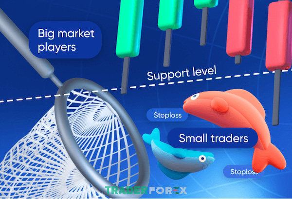 Stop Hunt phá vỡ cấu trúc và những tác động của nó