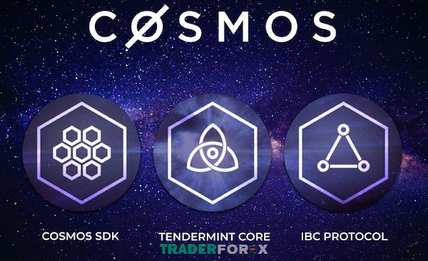Substrate và Cosmos SDK có những điểm gì khác nhau?