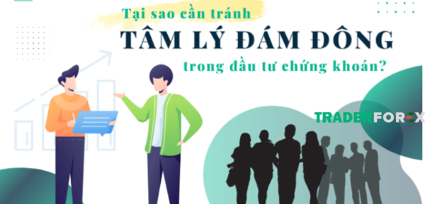 tam-ly-giao-dich-8 Tâm lý đám đông