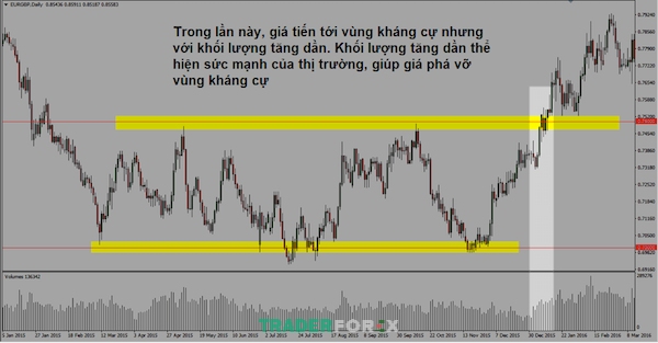 tick-volume-la-gi-11 Đường kháng cự và hỗ trợ được ký hiệu màu vàng trên biểu đồ