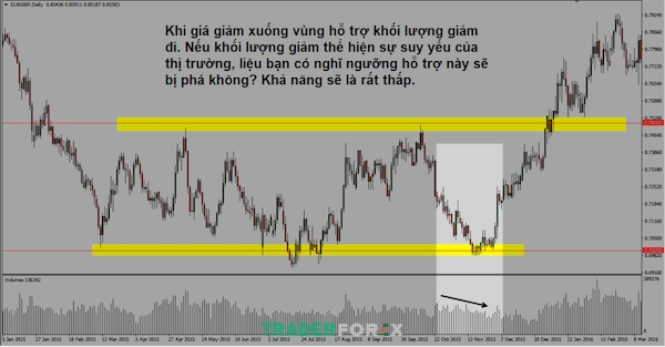 tick-volume-la-gi-6 Sử dụng Tick Volume Forex như thế nào là hiệu quả nhất?