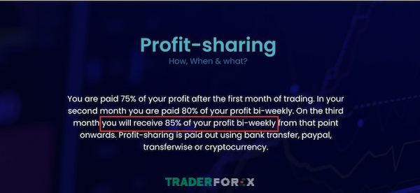 Trade quỹ MFF sẽ nhận được lợi nhuận kiếm được với tỷ lệ 85%