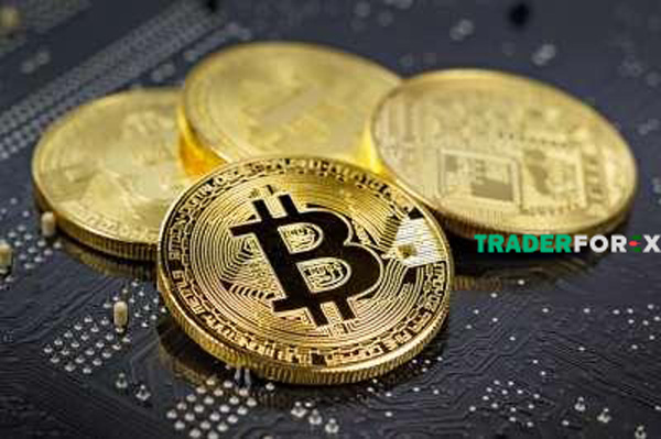 Trader Crypto cần đầu tư nhiều thời gian cập nhật các dự án tiền điện tử mới