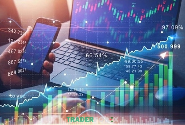 Bỏ qua việc quan sát thị trường là một sai lầm tai hại cần tránh trong đầu tư