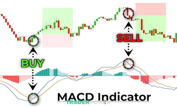 Đường MACD giúp traders xác định trend hiện tại của thị trường