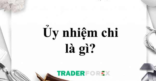 Ủy nhiệm chi là gì?