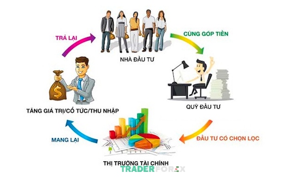 Thông tin về ủy thác đầu tư Forex