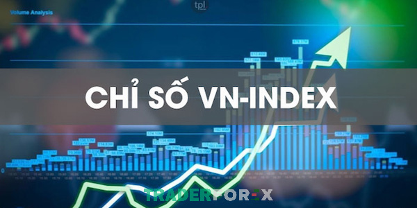 VN-Index thể hiện sự tăng giảm của tất cả cổ phiếu đã được lên sàn HSX